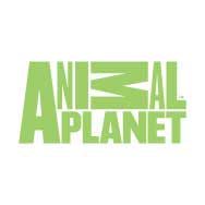 Animal Planet